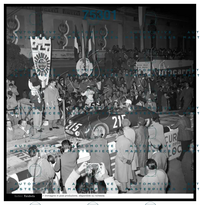 FARABOLA_#215_0M-0-00A47561.jpg