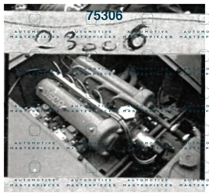 Klem_CM 23006.png