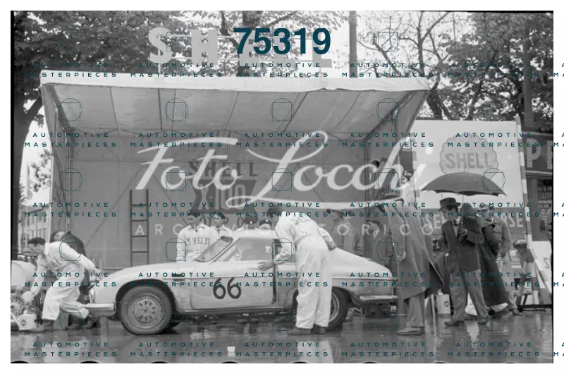 Locchi_1956_L307-8#66.jpg