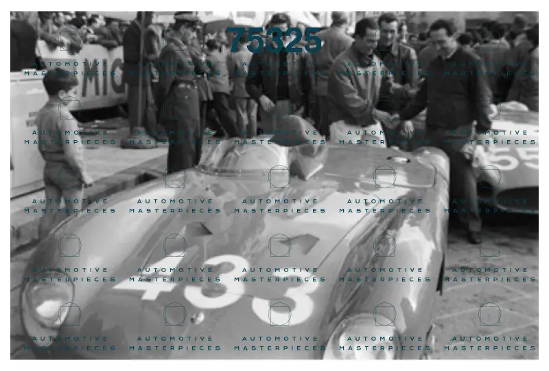 Negri 200856.png