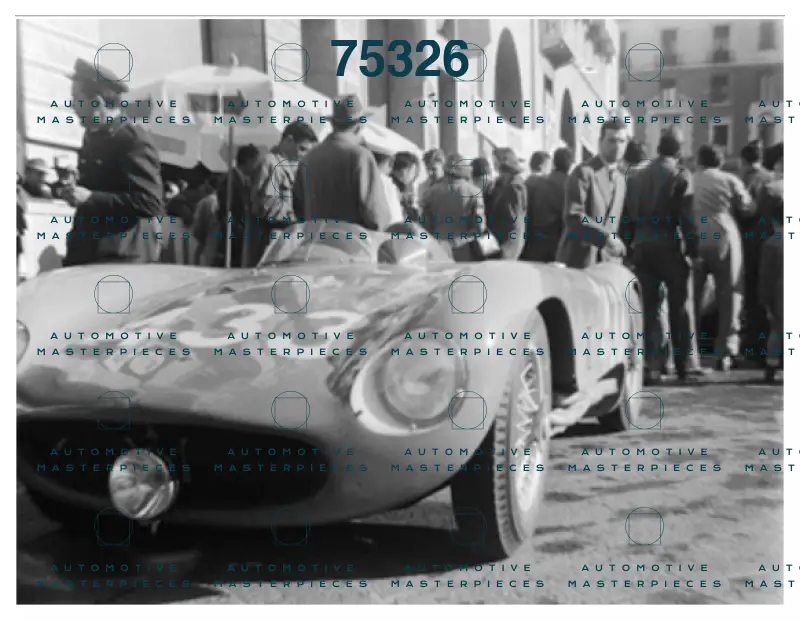 Negri 201528.png