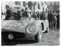 Negri 201528.png