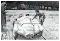 Locchi 1954_11820.jpg