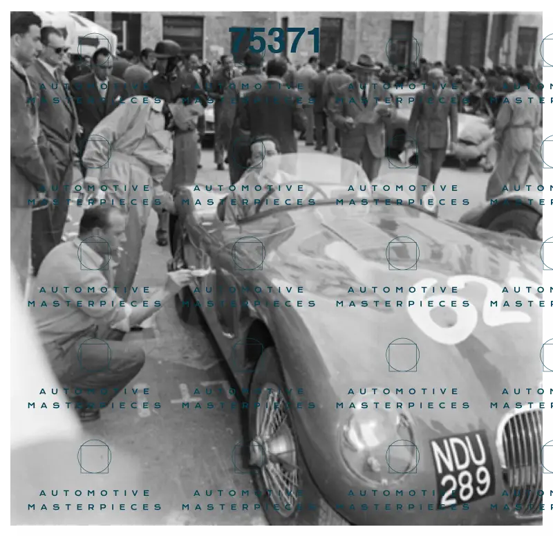 Negri Cinelli 200839.png