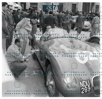 Negri Cinelli 200839.png