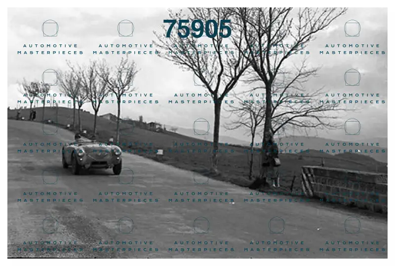 #550_54CM11D-19491.jpg