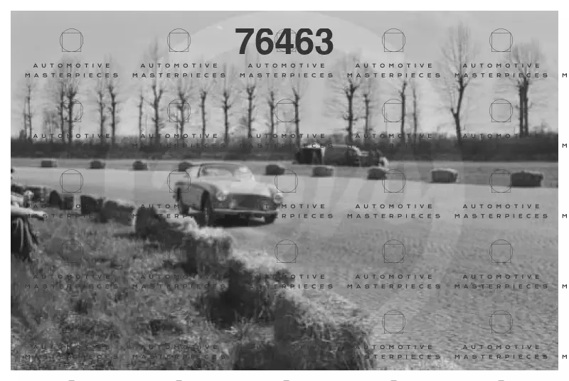 13D01F3F-DB74-487D-8194-8D97D910F905.jpeg