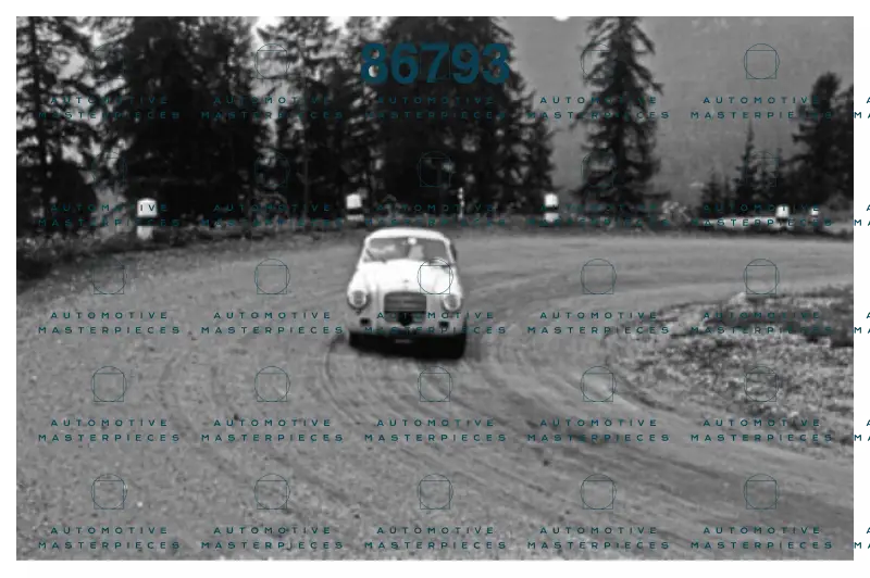 Negri 00843 copia.png