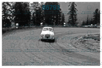 Negri 00843 copia.png