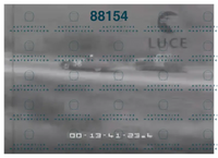 Istituto Luce 1.png