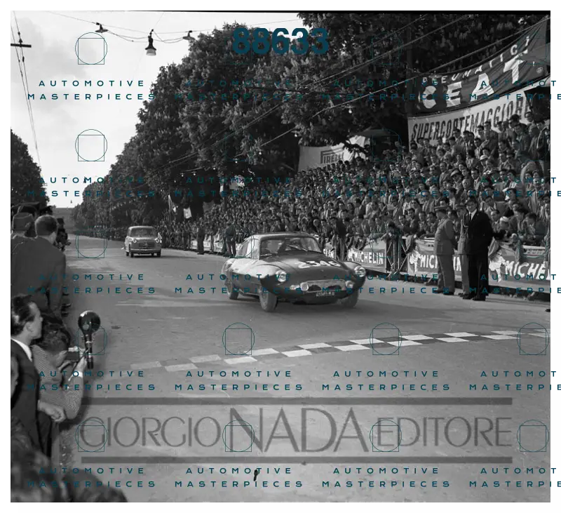 1954 #2346 Nada 6157.jpg