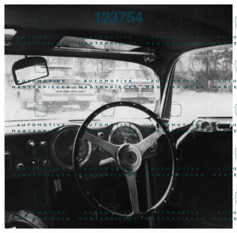 0038M_salzman_04.jpeg