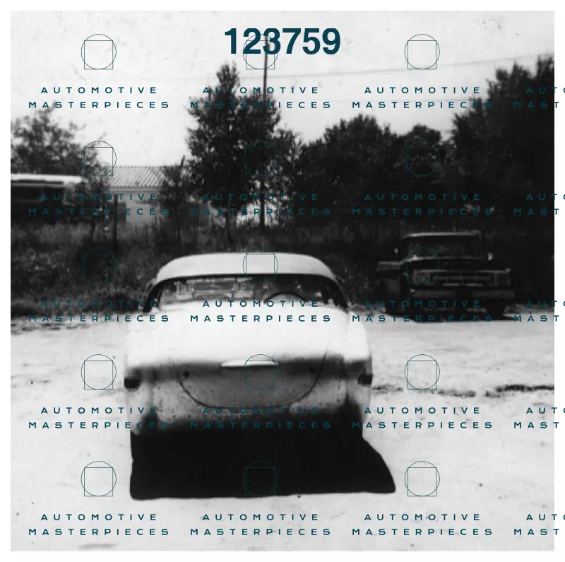 0038M_salzman_10.jpeg