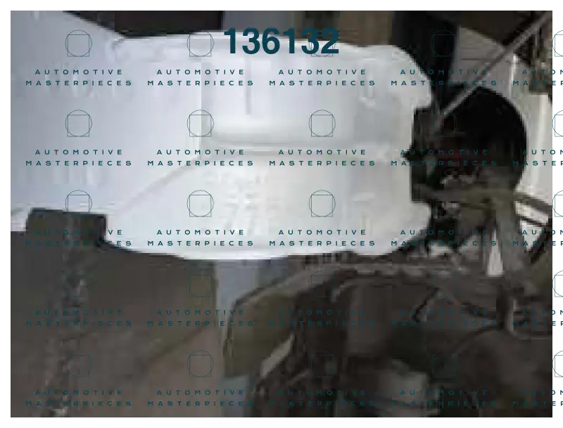 report.JPG