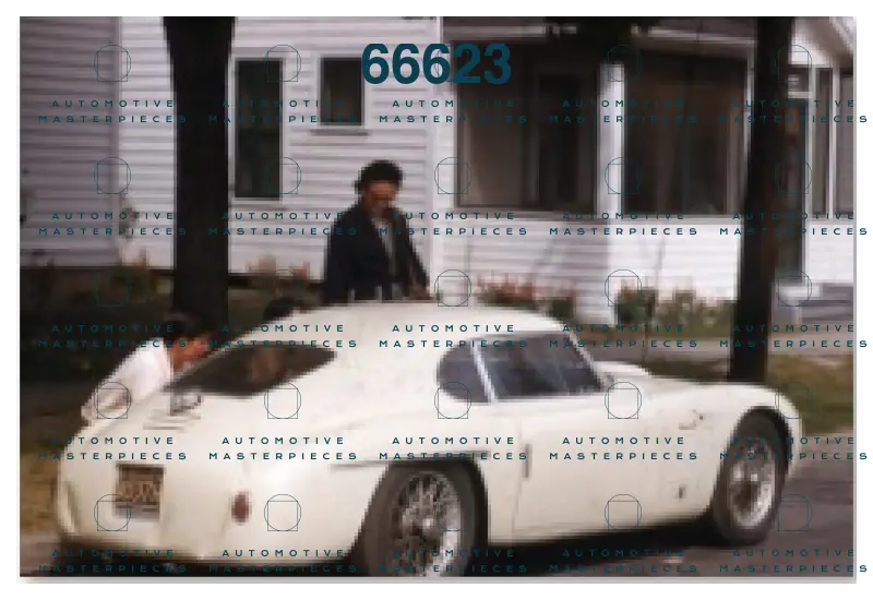 Schermata 2021-11-24 alle 12.03.51.png